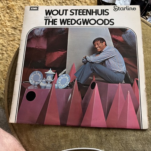 Wout steenhuis and the - steenhuis,