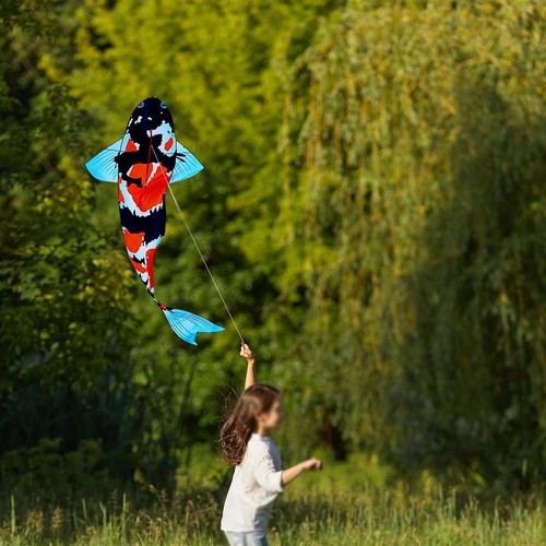 Large koi fish - fish, creative