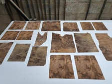 Burr Walnut Veneer Sheets –