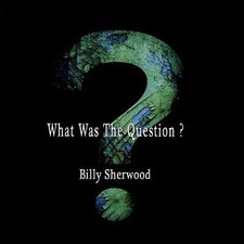 Billy Sherwood : What Was the