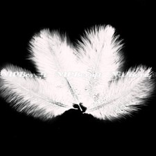White Natural Genuine Ostrich Feather Fluffy Costume Craft Party Decor