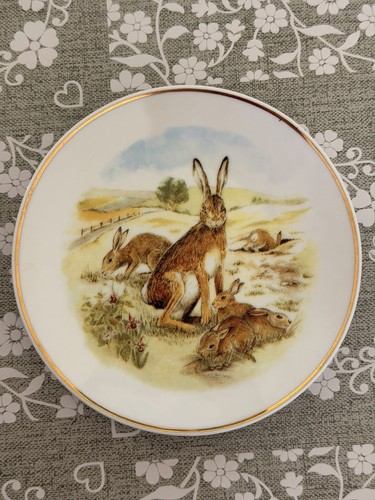 Vintage hares rabbits - hares,