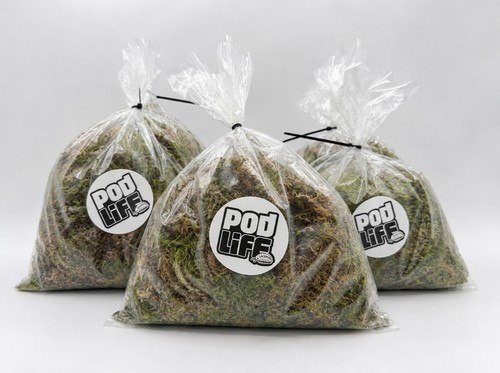 Premium live welsh sphagnum - live,