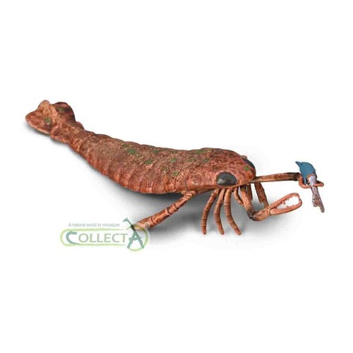 Collecta jaekelopterus with - collecta,