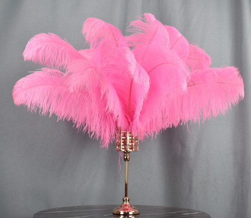 10pc big dyed pink ostrich - big,