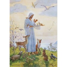 M W Tarrant - The Lesser