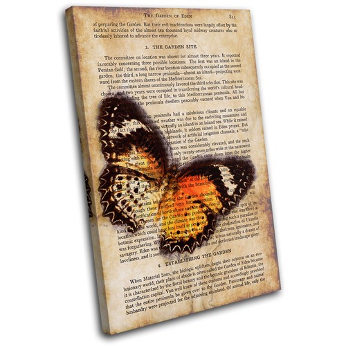 Butterfly vintage collage - vintage,