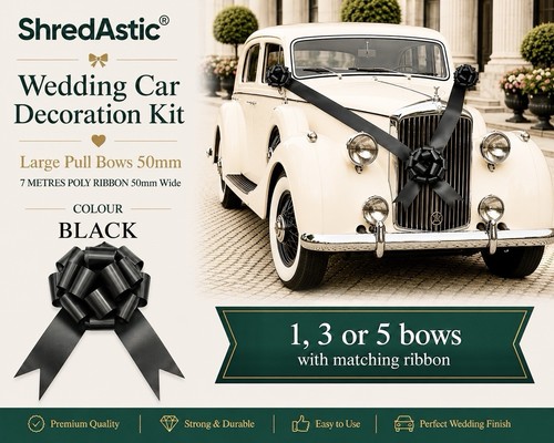 Shredastic wedding car - ,