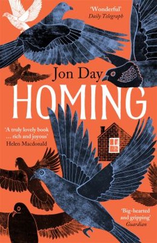 Homing pigeons dwellings - homing, pigeons,