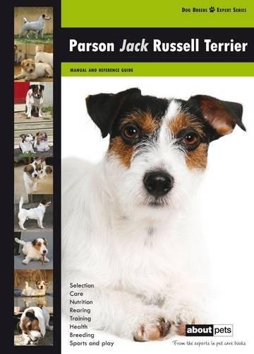 Parson jack russell - russell, terrier
