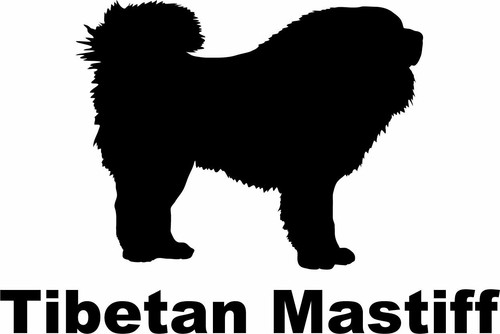 Tibetan mastiff - tibetan,