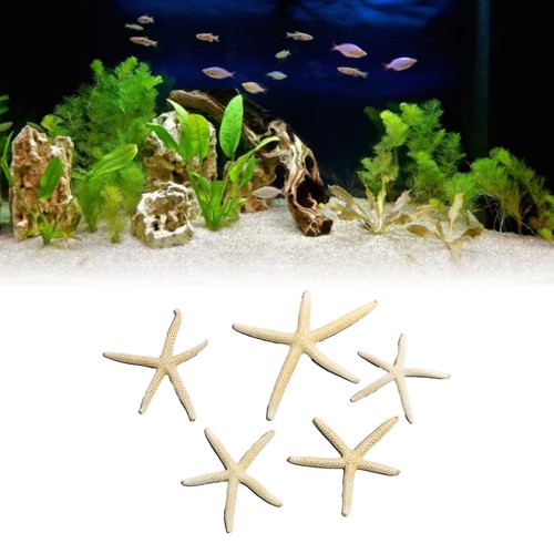 Fish tank starfish - fish, 5pcs