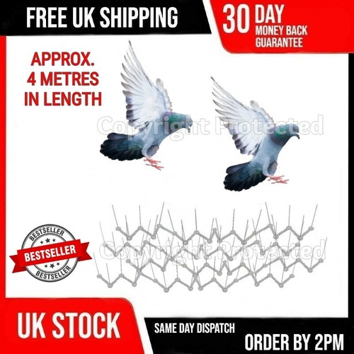 Bird fence spikes - bird, 4