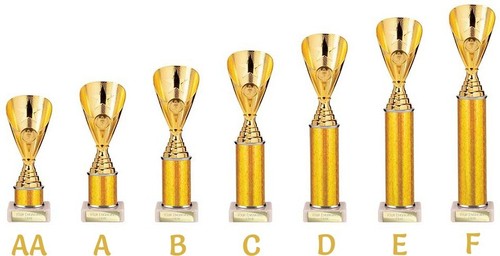 Presentation cup trophy - -, gold