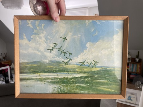 Vintage vernon ward print - vintage,