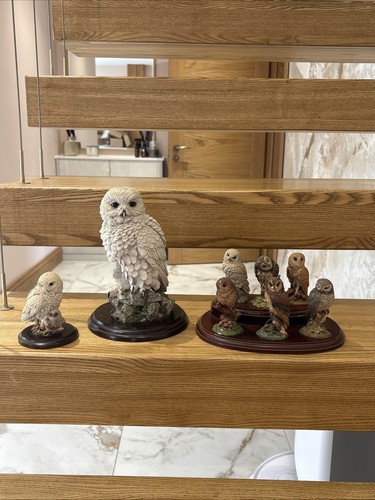 Owls collection wooden base - wooden,