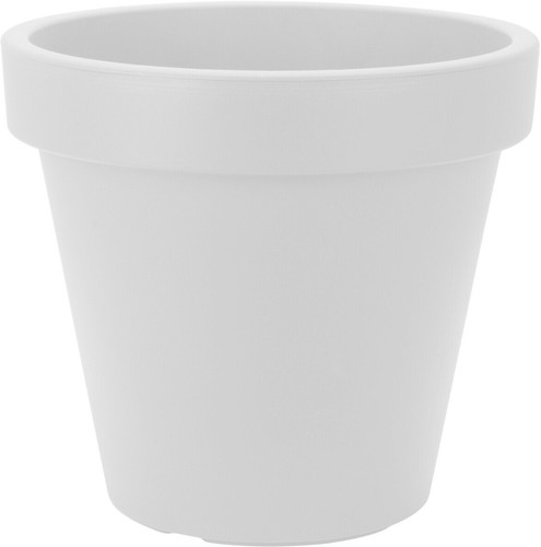 White large plant - large, pot