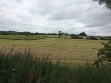 Photo 6x4 Fields to the South
