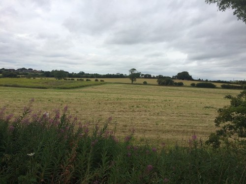 Photo 6x4 fields the - fields, to