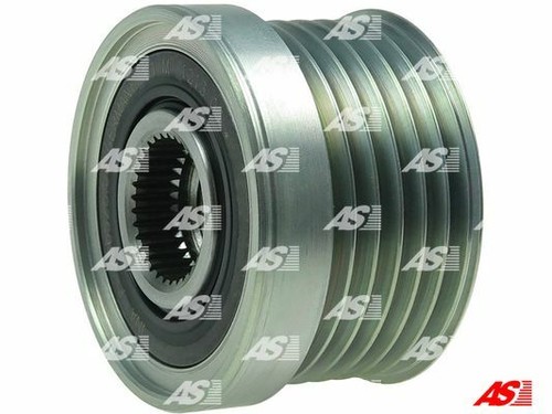 Alternator freewheel clutch - freewheel,
