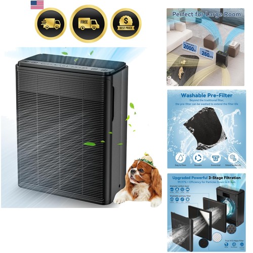 Air purifier for - for, rooms