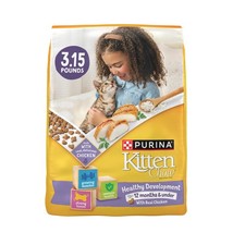 Kitten Food Healthy