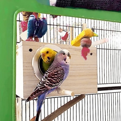 Parrot breeding box cockatiel - parrot,