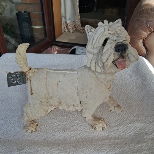 West highland terrier - terrier, a