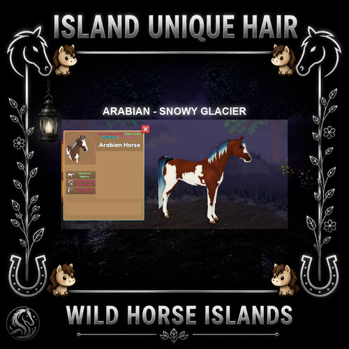 Wild horse islands arabians - horse,