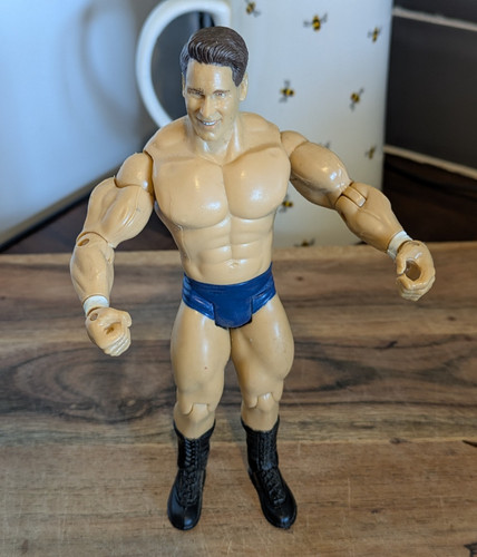 Jakks pacific wrestling figure - jakks,