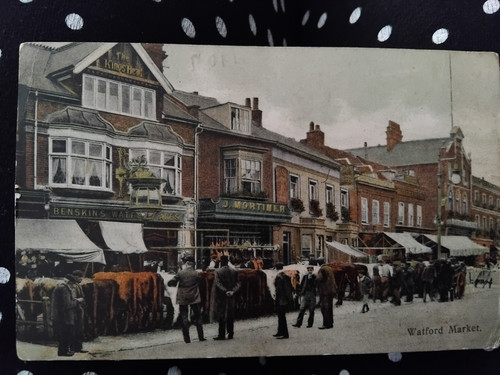 Watford market cattle - market,