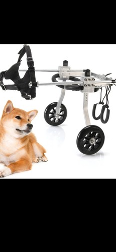 Dog wheelchair mobility - dog,