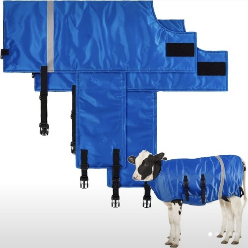 Calf rearing jackets - calf,
