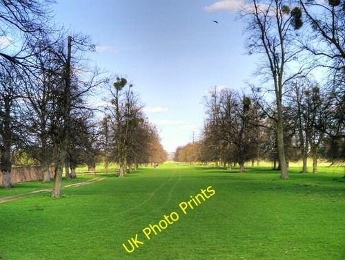 Photo 6x4 hampton court - photo, home