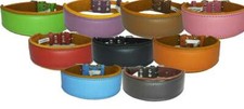  Leather Dog Collar Staffy