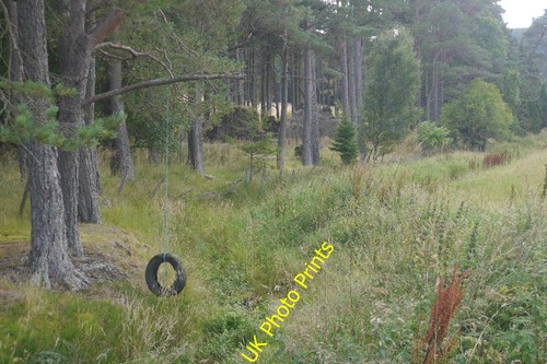 Photo 6x4 tyre swing kirkton - photo,