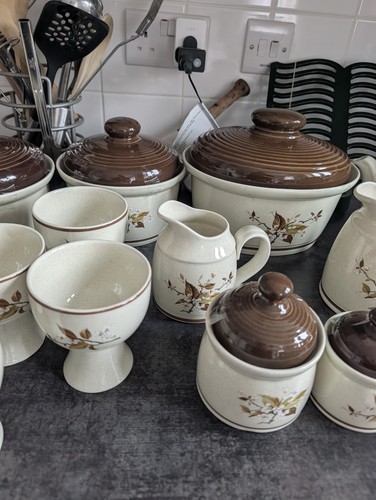 Royal doulton lambethware wild - royal,