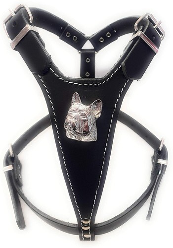 Beautiful black leather dog - black,