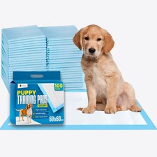 100 x DryEase Large Puppy Pads