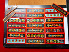 24 Slides, Antique 1800s 1900s