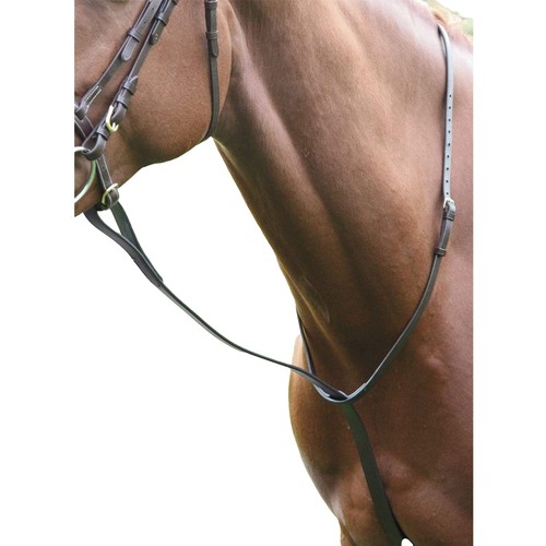 Blenheim leather horse - blenheim,