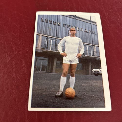 Leaf 100 years - soccer, stars