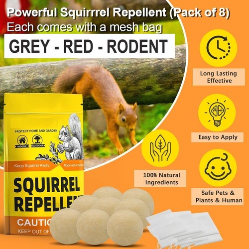 Squirrel rodent repellent - squirrel,