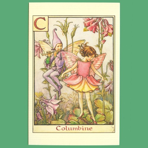 Postcard columbine flower - postcard,
