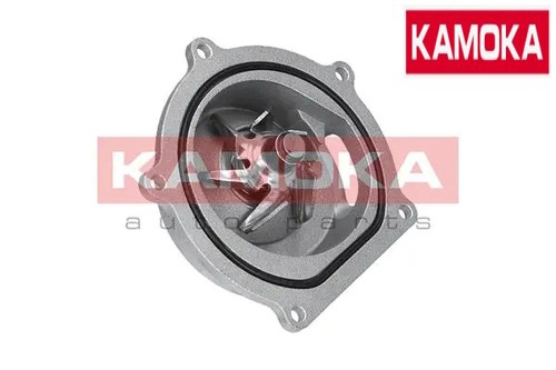Water pump engine - pump, cooling