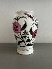 Portmeirion Botanic Garden