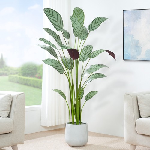 Artificial bird paradise - of,