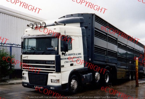 Truck lorry photo - truck/lorry,