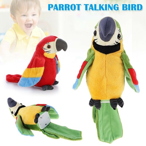 Talking parrots imitates what - imitates,
