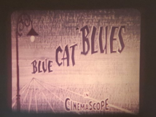 Tom and jerry - blue, cat